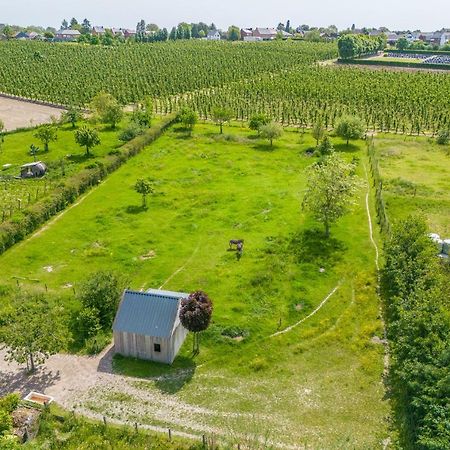 Unique Hideaway, Holiday House With Large Garden Kortenaken Eksteriør billede