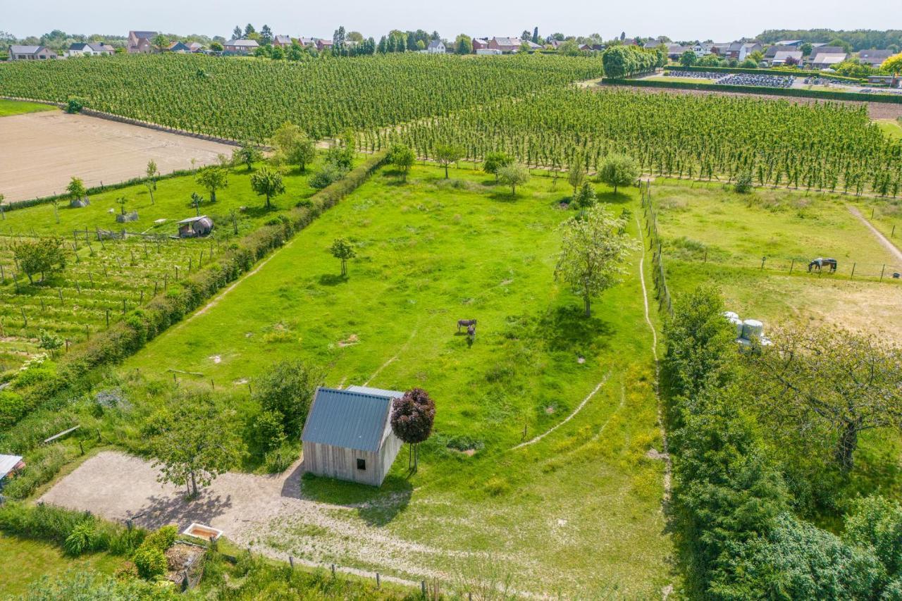Unique Hideaway, Holiday House With Large Garden Kortenaken Eksteriør billede